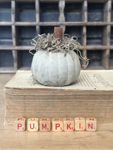 Load image into Gallery viewer, Concrete Spanish Moss and Cinnamon Stick Jack O lantern Pumpkin (Copy)