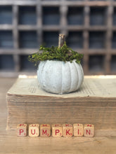 Load image into Gallery viewer, Concrete Moss and Twig Jack O lantern Pumpkin