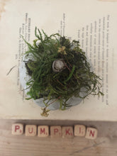 Load image into Gallery viewer, Concrete Moss and Twig Jack O lantern Pumpkin
