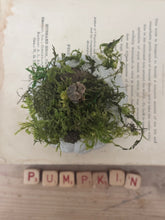 Load image into Gallery viewer, Concrete Moss and Twig Jack O lantern Pumpkin
