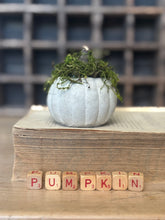Load image into Gallery viewer, Concrete Moss and Twig Jack O lantern Pumpkin
