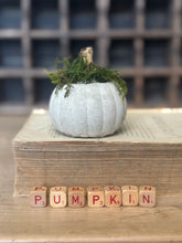 Load image into Gallery viewer, Concrete Moss and Twig Jack O lantern Pumpkin
